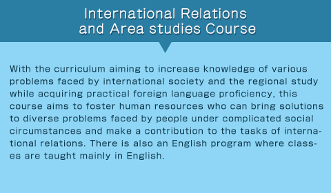International Relations and Area studies Course